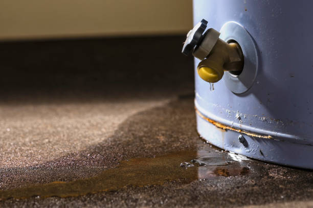 Best Water damage cleanup near me  in New Holland, PA