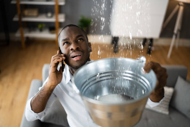 Best Emergency water extraction  in New Holland, PA