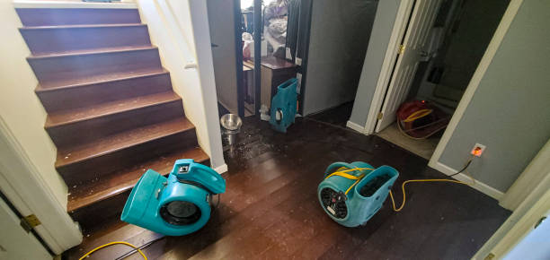 Best Fire Damage Restoration  in New Holland, PA
