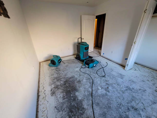 Best Water damage restoration process  in New Holland, PA