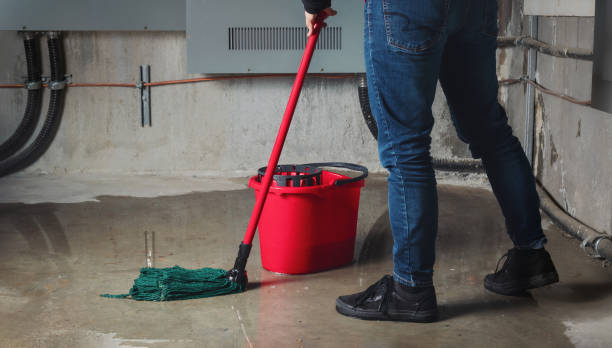 Best Water damage restoration near me  in New Holland, PA
