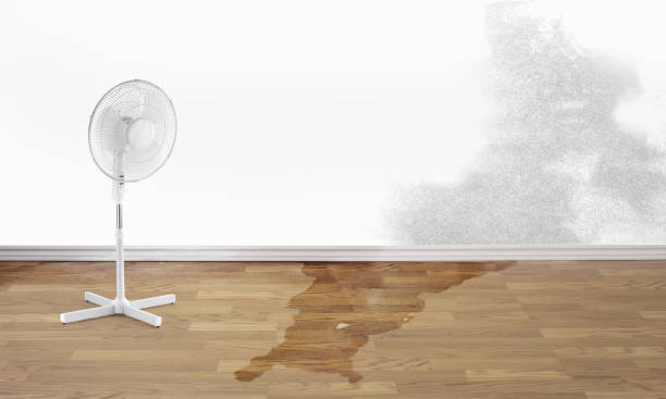 Best Residential water damage restoration  in New Holland, PA