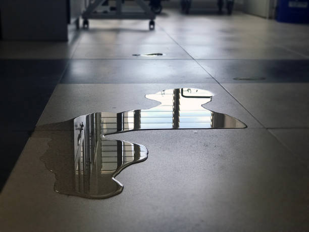 Best Water damage restoration near me  in New Holland, PA