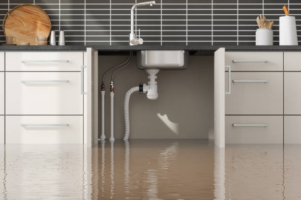 Best Professional water damage repair  in New Holland, PA