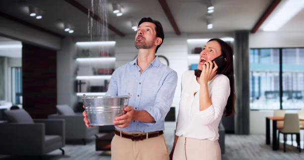 Best 24-hour water damage restoration  in New Holland, PA