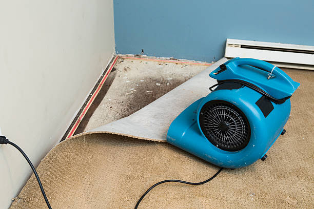 Trusted New Holland, PA Water damage restoration Experts
